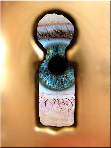 alflanellxxl's profile picture. 