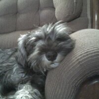 ROD A.R. (@rocko1967) 's Twitter Profile