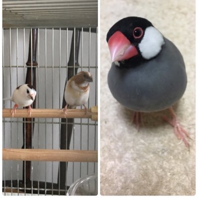 ルンルンさま確認ページ♡ ルンルン｜にじさんじオフィシャルストア