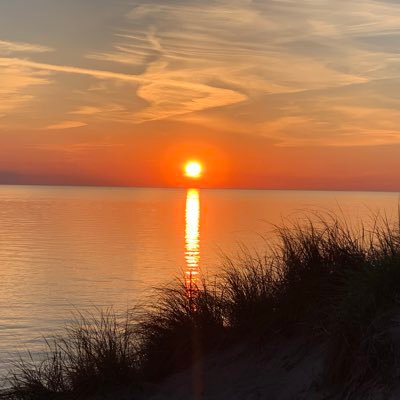 btgore's profile picture. 