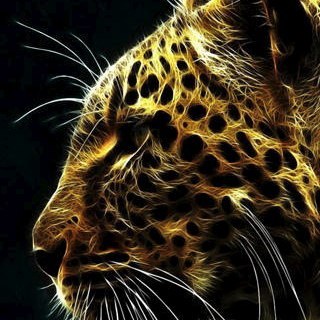 _pardus's profile picture. трансляция из жж
http://t.co/yktrJ6dY