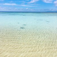 光汰 (@a8kouta) 's Twitter Profile