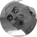 Mac Cassia (@mac_cassia) Twitter profile photo Mac Cassia (@mac_cassia) Twitter profile photo