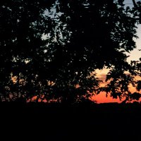 #mt. Lake Lady# (@mt_lake) 's Twitter Profile