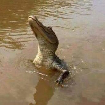 ITheodorides's profile picture. 