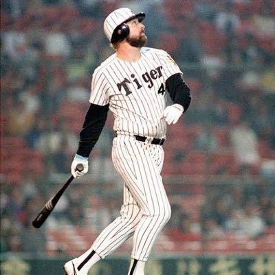 amakuchitigers's profile picture. 甘い甘い阪神タイガースファンです。