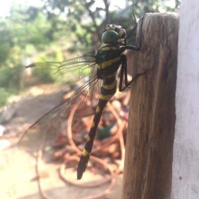 vincent10733122's profile picture. 