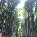 Steven Che - @stevenc2828 - Twitter