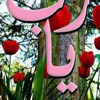 محمود فتوح 🕋 (@mohmeodeosef) 's Twitter Profile