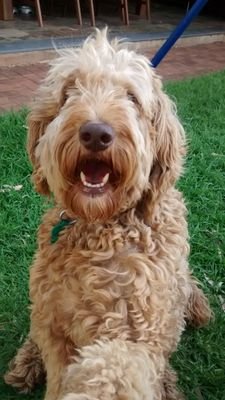 DUKE50273262's profile picture. 