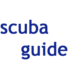 i'm all you wanna learn about scuba diving