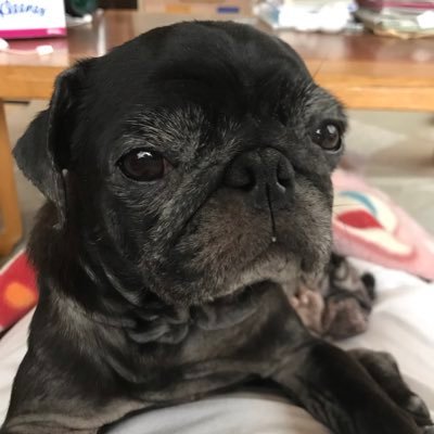 ohdorock_tame56's profile picture. 人をしあわせにするにはまず自分から。5月からフリースクール始めました。#フリースクール#不登校#思春期#反抗期