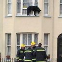 Iain McIntyre - @iainjmcintyre - Twitter