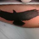 Dan Ventura - @seattledan1 - Twitter