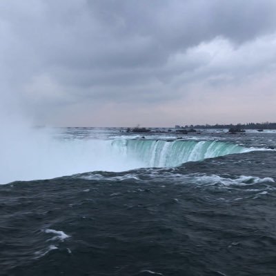 rpython37's profile picture. Love loving things