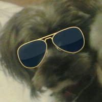 SPROUT (@orj1020) 's Twitter Profile