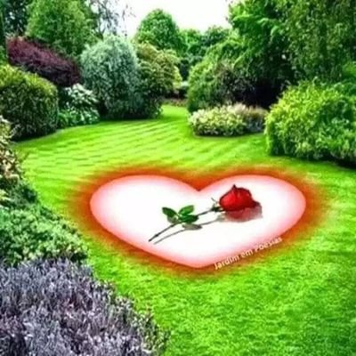 JokerWali's profile picture. 