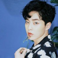 exo aesthetic (@exoandaesthetic) 's Twitter Profile