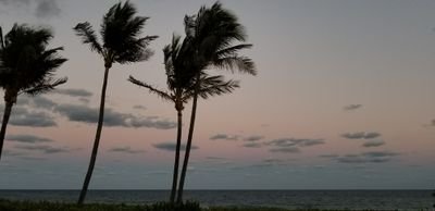 gregnice82's profile picture. 