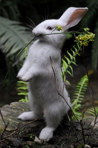 congocongo's profile picture. Жизнь — это не те дни, которые прошли, а те, которые запомнились.