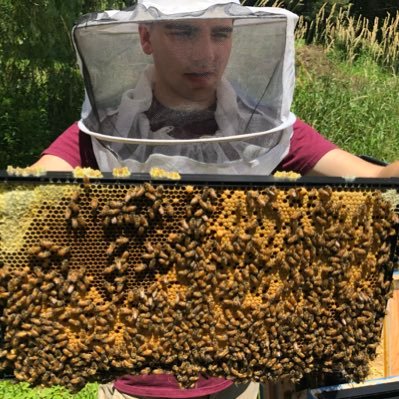 MillBrookHoney Profile Picture