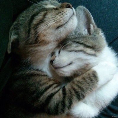 echmockpack's profile picture. 