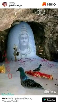 MohanAhuja9's profile picture. 