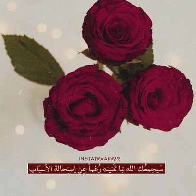الحمدُ للهِ الذي نظُنُّ به خيراً
فيكرمنا بخيرٍ مما نظن،ربِّ أسألك حُسن الحياة وحسن الرحيل 
وحُسن الأثر💕

اللهم أغفر لي ولوالديَّ