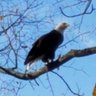 moxiepassion's profile picture. Proud offspring of US Navy vet. Observer of life through my camera lens. Lover of nature, animals & diversity in music. Seeker of new experiences & knowledge.