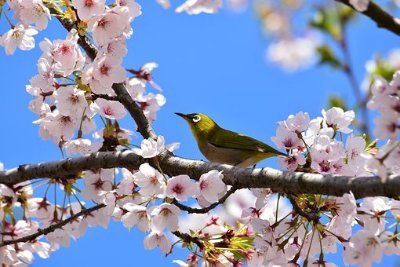 HatfieldMaci's profile picture. Free Crypto Hunters