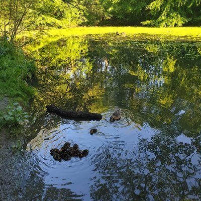 ali44415392's profile picture. Ali