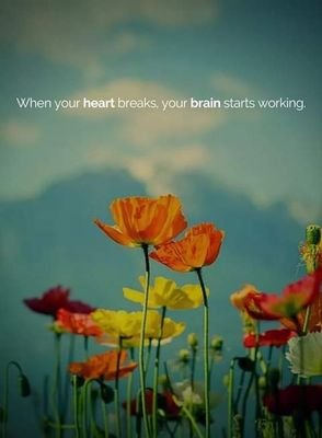 mayasemayase's profile picture. An African woman based in South Africa.