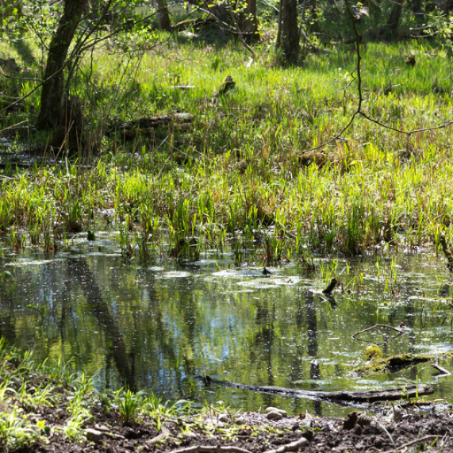 Simonsky24's profile picture. 