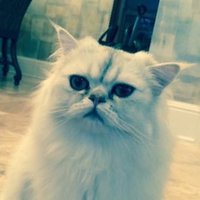 Richard Parker(@Julie89477398) 's Twitter Profile Photo