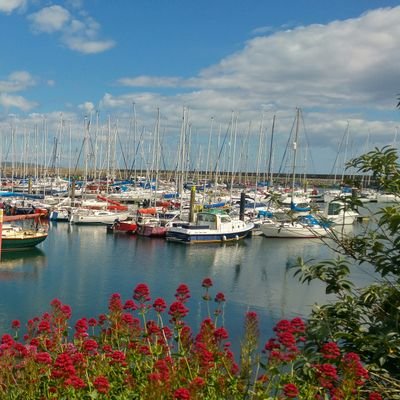 MissEllenMan's profile picture. ♍