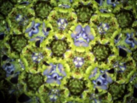 yekkarios's profile picture. Trust. Enjoy. Live.