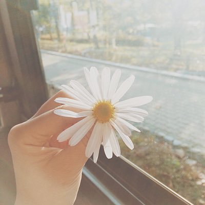 TVXQ_Charly's profile picture. 👑 ちゃんみん と ゆの だけ ！