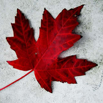 HRubidia's profile picture. Traveling, learning about different cultures and the outdoors are my passion.  IT Technical Advisor. 
🇸🇻🇨🇦