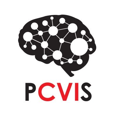 The Pediatric Cortical Visual Impairment Society is committed to improving the lives of children with CVI, the #1 cause of visual impairment in kids.