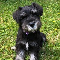Elaine Mc Ananey (@emc_ananey) 's Twitter Profile