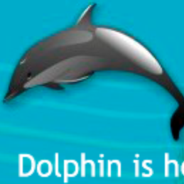 deflateddolphin Profile