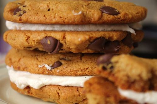 100% vegan & gluten free