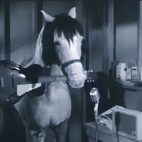 Gasoline Pony (@gasolinepony) 's Twitter Profile