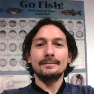 Pedro Hernandez (@zebragut) 's Twitter Profile Photo Pedro Hernandez (@zebragut) 's Twitter Profile Photo