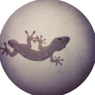 aka_yj's profile picture. Story writer/ Worder. Tokyo, JAPAN