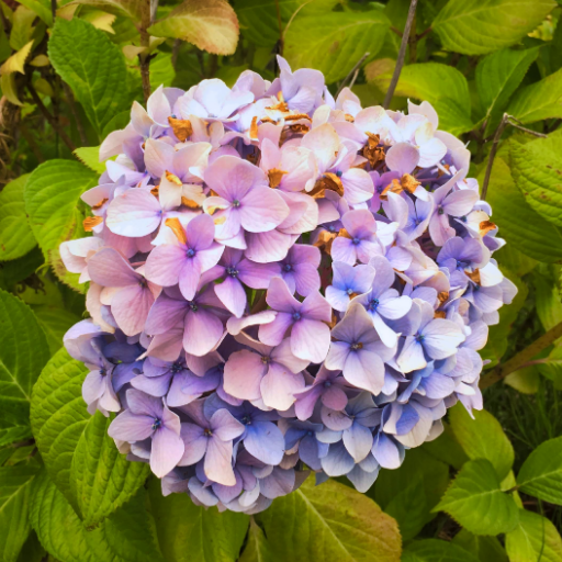 fukkybatoma's profile picture. 元垢が変なアカウントにフォローリクエストされまくってるので作り替えました。今は見る用。