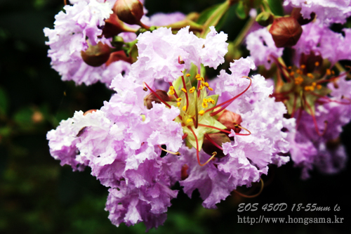 soma7902's profile picture. 