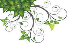 Edinburgh's finest Florist offering quality and innovative floral designs for the home and corporate sectors