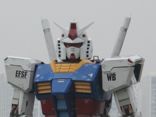 hellotinytiger's profile picture. 