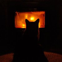 JK (@j2dk) 's Twitter Profile Photo